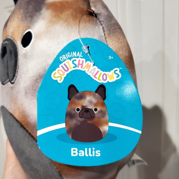 8" Squishmallow Ballis dog bulldog puppy soft plush Kellytoy gift toy - Picture 3 of 4